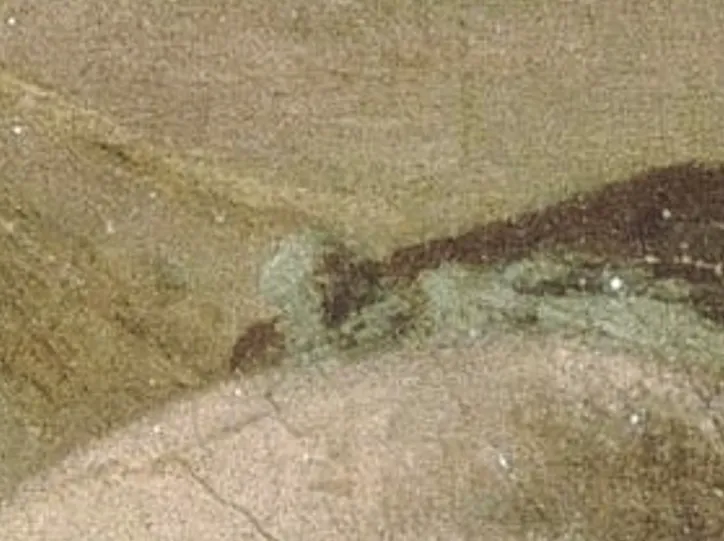 Detalle del cuadro